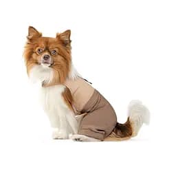 Шлей-костюм Darcy ТМ Pet Fashion для собак XS бежева - мініатюра 2