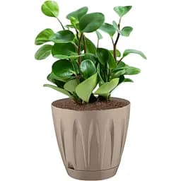 Вазон для квітів Serinova Daisy 22 л мокко (20-P00601214-200100) - мініатюра 2