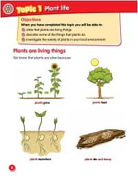 Macmillan Science 2 Student's Book & eBook - мініатюра 5
