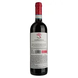 Вино La Sogara Valpolicella Doc, 13%, 0,75 л (ALR15997) - мініатюра 2
