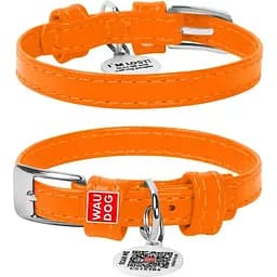 Нашийник для собак Waudog Glamour, шкіряний, з QR паспортом, 19-25х0,9 см, помаранчевий - мініатюра 2
