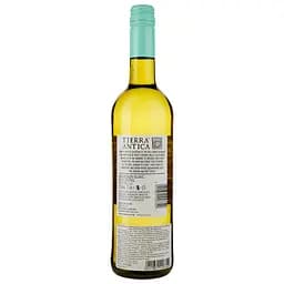 Вино Tierra Antica Sauvignon Blanc біле сухе 0.75 л - мініатюра 2