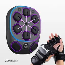 Настінний боксерський тренажер EasyFit з аперкотами (музичний бокс) - мініатюра 2