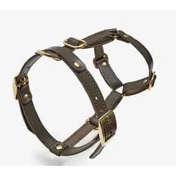 Шкіряна шлея для собак "Classy" ХS оливкова (обхват грудини 28-36 см)