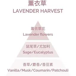 Ароматична свічка Plantes & Parfums Recolte de la Lavande 180 г - мініатюра 3
