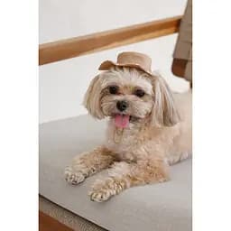 Панама Pet Fashion Print для собак XL - мініатюра 6
