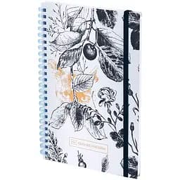 Блокнот Axent Gold Cat OS на спіралі А5 в клітинку 80 аркушів (8471-1-A-OS)