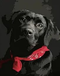 Набір для творчості алмазна картина Чорний лабрадор Strateg HEG86044, 30x40 см