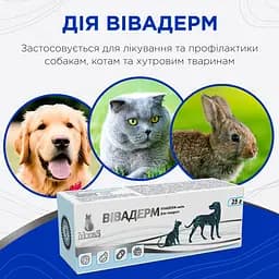 Мазь Modes Вівадерм знеболювальна, протигрибкова, протизапальна 25 г - мініатюра 5