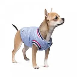 Бомбер Pet Fashion Spike для собак, розмір S, блакитний - мініатюра 2