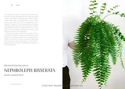 Plantopedia - мініатюра 5