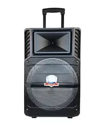 Колонка Big PK-1211 bluetooth + микрофон (360х280х560) USB/MO3/FM/TWS Черный