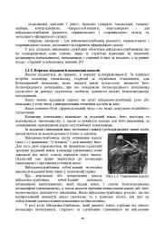 Загальновійськова підготовка. Навчальний посібник - мініатюра 17