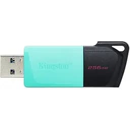 Флеш накопичувач USB 3.2 Kingston DT Exodia M 256GB (DTXM/256GB)