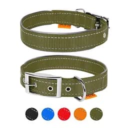 Нашийник Dog Extreme з нейлону подвійний зі світловідбиваючою вставкою (ширина 40мм довжина 60-72см) хакі - мініатюра 2