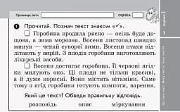 Українська мова та читання. 3 клас. Відривні картки до підручника М. Вашуленка, Н. Васильківської, С. Дубовик - мініатюра 4