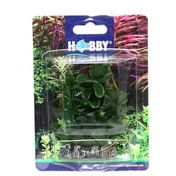 Штучна рослина Hobby Bacopa 7 см (51555) - мініатюра 2
