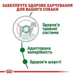 Уцінка. Вологий корм Royal Canin Mini Adult для дорослих собак дрібних порід 1.02 кг (12 шт. х 85 г)  - мініатюра 6