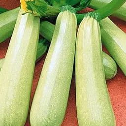 Кабачок "Анна" ТМ "Весна"  3г (45887)