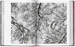 Sebastiao Salgado. Genesis. 45th Edition - мініатюра 9