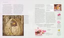 The Herb Book - мініатюра 8