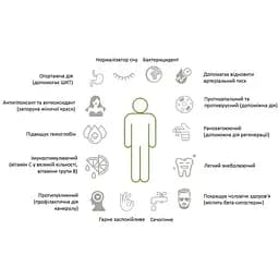 Чай кипрійний Mol'far з листям м'яти та меліси, органічний, 50 г - мініатюра 4