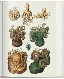 Seba. Cabinet of Natural Curiosities - мініатюра 5