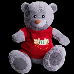 Мягкая игрушка с пледом 110х140 см Мишка Тедди в красном свитере серый детский плюшевый плед игрушка подушка детская ТМ COLORFUL HOME 509-35GR