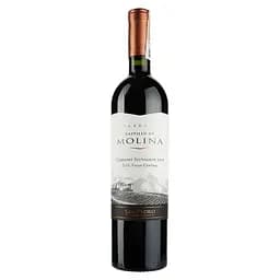Вино Castillo de Molina Cabernet Sauvignon, червоне, сухе, 11,5-14%, 0,75 л