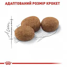 Сухий корм для дорослих стерилізованих кішок та кастрованих котів Royal Canin Sterilised 2 кг + 400 г - мініатюра 6