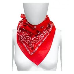 Платок ковбойский