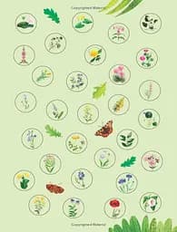 Flowers to Spot. Usborne Minis - мініатюра 6