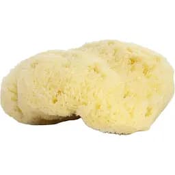 Натуральна мочалка-спонж Najel 9-10 см