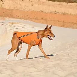 Жилет для собак Pet Fashion E.Vest SM помаранчевий - мініатюра 4