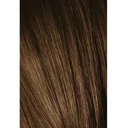 Перманентна фарба для сивого волосся Schwarzkopf Igora Royal Absolutes, відтінок 6-50 (темно-русий золотистий натуральний), 60 мл (2681836) - мініатюра 2