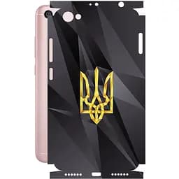 Захисна плівка StatusSKIN для Xiaomi Redmi Note 5A Корпус Вініл Герб 1