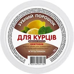Зубний порошок Dentogin Для курців морозна свіжість 75 г