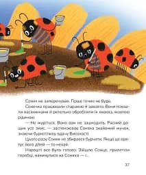 Вистрибеньки сонячних зайчиків - мініатюра 10