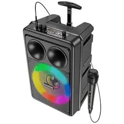 Портативна акустика Borofone BP9 Bluetooth караоке з мікрофоном та пультом 10 W