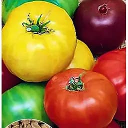 Насіння Весна на вагу Томат Суміш великоплідних сортів ціна за 3 г (46882)