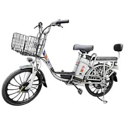 Електровелосипед E-scooter Go Fun двомісний 20 дюймів 450W 48V 16Ah + PASS-система + амортизатор