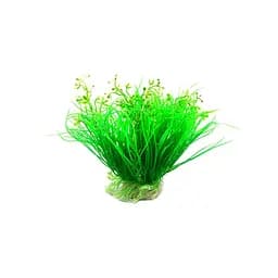 Штучна рослина Aqua Nova 15 см (NP-15 0571-R)