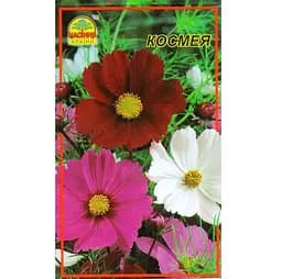 Насіння Космея кольорова 0,3 г (Насіння країни)