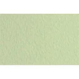 Папір для пастелі Fabriano Tiziano B2 (50х70см) №11 verduzzo 160г/м2 салатовий середнє зерно