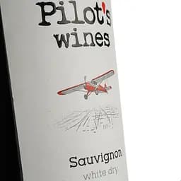 Вино Pilot’s Wines Sauvignon біле сухе 0.75 л - мініатюра 6