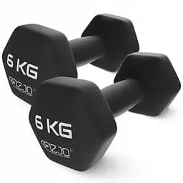 Гантели виниловые 4FIZJO Classic 2 x 6 кг (P-5905973403191)