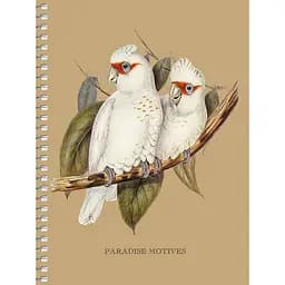 Блокнот для записей Student, В6, в клеточку, спираль, 80 л., Edem Пара белых попугаев (B6-SC-080-6104K)