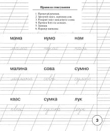Українська мова. 1 клас. Зошит для списування з калькою - мініатюра 2