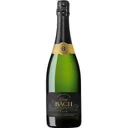 Вино игристое Bach Cava Gran Brut, белое, брют, 0,75 л