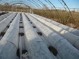 Агроволокно Greentex p-50, 3,2x100 м (30896) - мініатюра 4